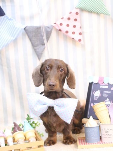 20250516チョペくん